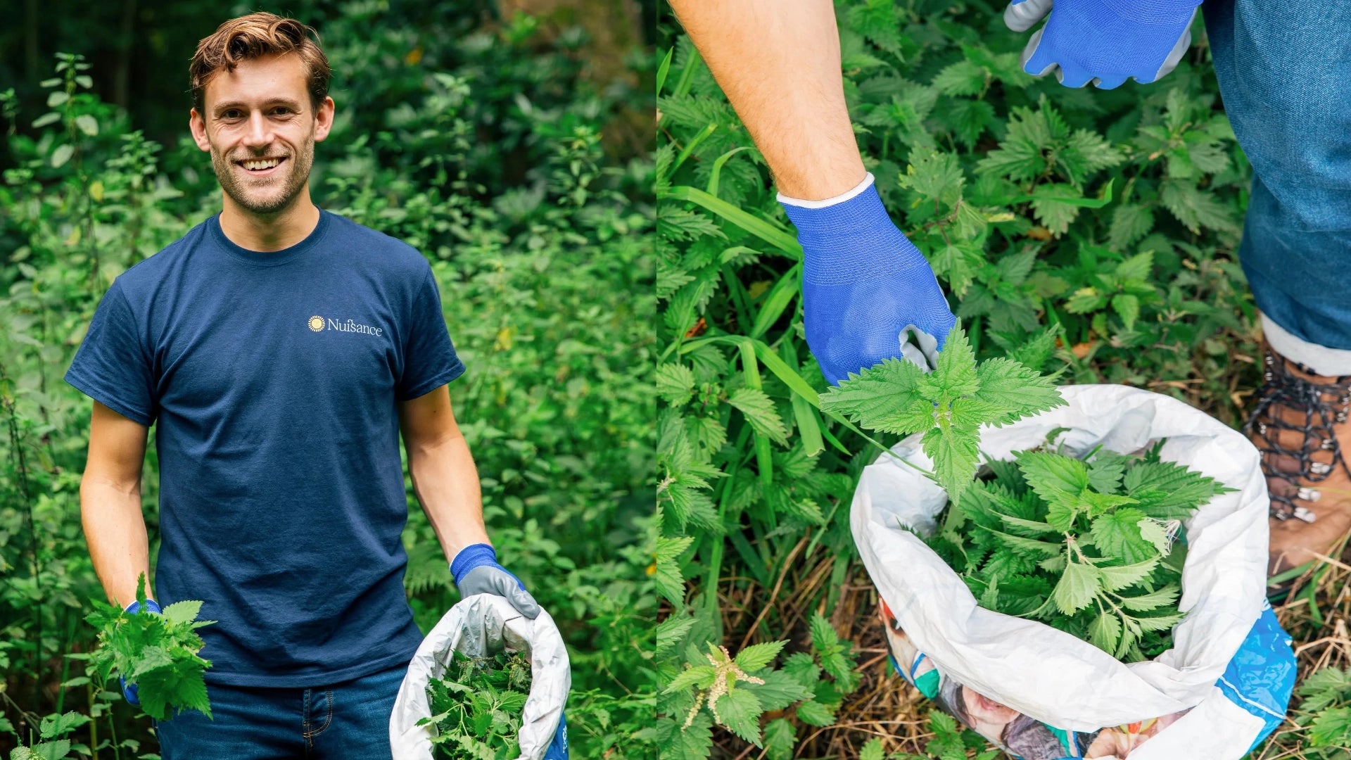 Hugo Morrissey, founder of soft drink startup Nuisance Drinks, foraging nettles for our premium  botanical nettle and elderflower soft drink. 1% sales donated to Rewilding Britain