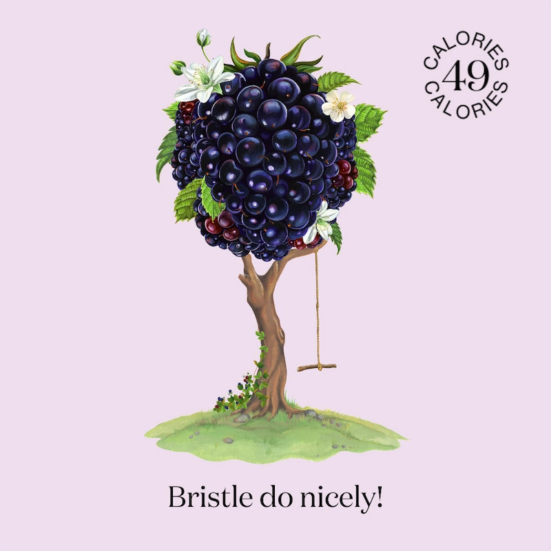 Artwork of nature where  Nuisance drinks take their inspiration to create a natural, low-calorie, low-sugar premium Bramble & Rosemary botanical soft drink.
