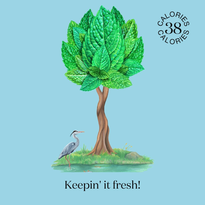 Artwork of nature where  Nuisance drinks take their inspiration to create a natural, low-calorie, low-sugar premium Mint, cucumber & Chilli botanical soft drink.