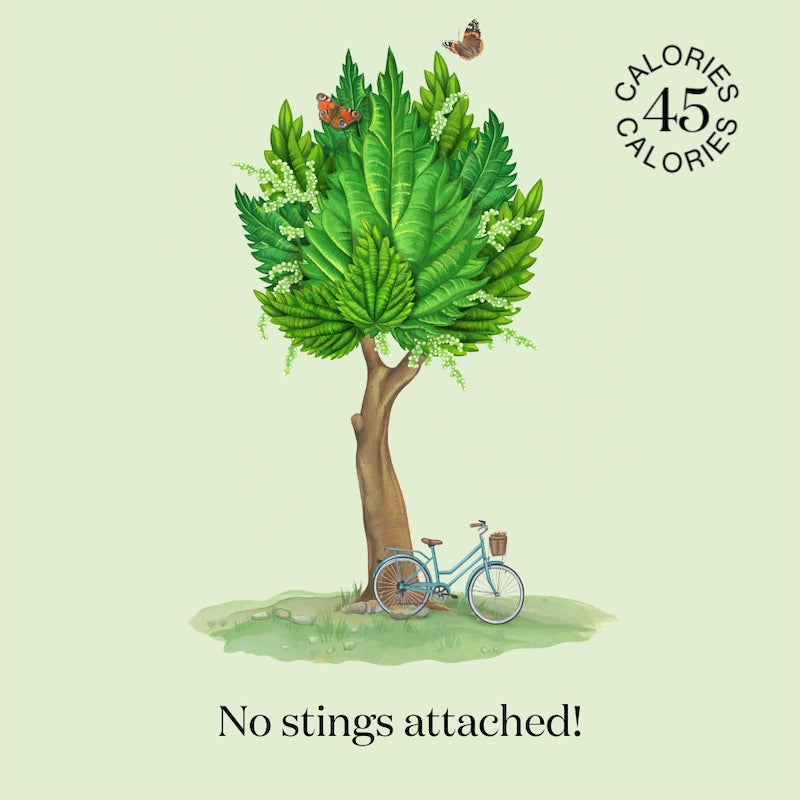 Artwork of nature where  Nuisance drinks take their inspiration to create a natural, low-calorie, low-sugar premium Nettle & Elderflower botanical soft drink.