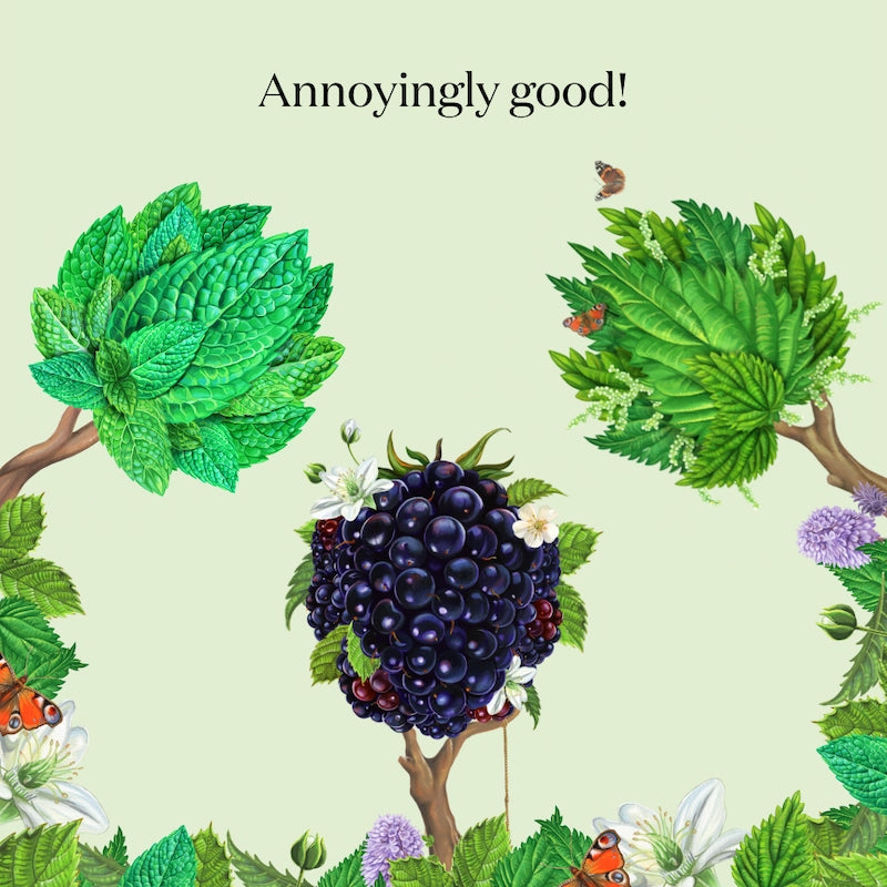 Artwork of nature where Nuisance drinks take their inspiration to create a natural, low-calorie, low-sugar classic flavour range of premium botanical soft drinks: bramble and rosemary; nettle and elderflower; mint, cucumber and chilli.