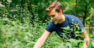 Hugo (founder) foraging nettles in Scotland