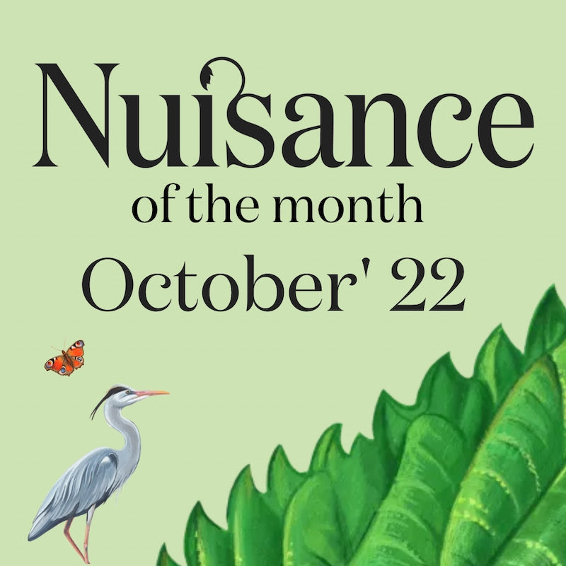 Cover Image for the Nuisance drink's monthly series "Nuisance of the month"- October edition