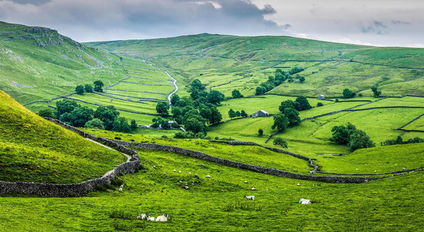 UK holiday destination - image of fields and trees