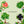 nuisance sparkling botanical drinks artwork