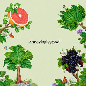 nuisance sparkling botanical drinks artwork