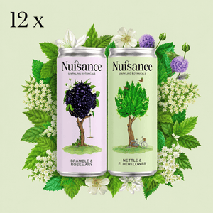Wild Forager Mixed Case