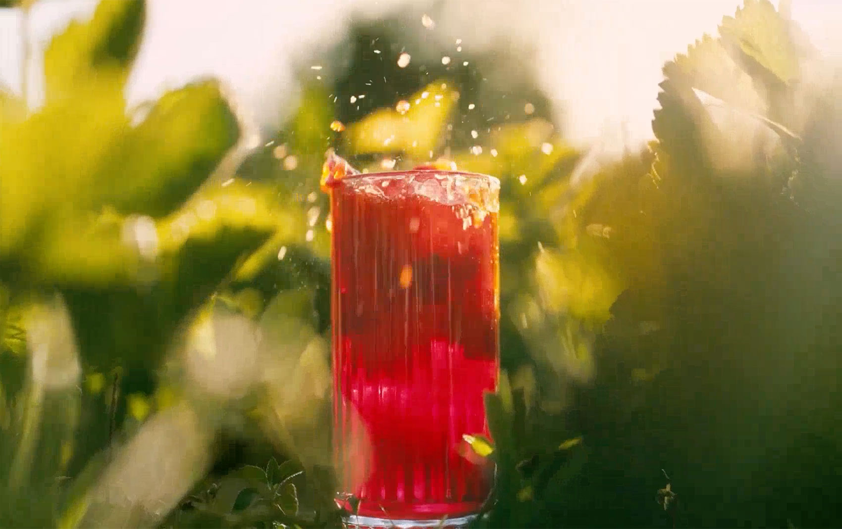 video for nuisance botanical sparkling drinks showing people, the ingredients and drink cans