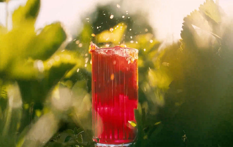 video for nuisance botanical sparkling drinks showing people, the ingredients and drink cans