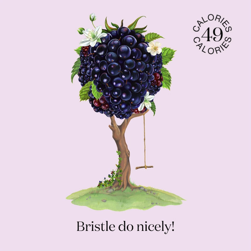 Artwork of nature where  Nuisance drinks take their inspiration to create a natural, low-calorie, low-sugar premium Bramble & Rosemary botanical soft drink. 