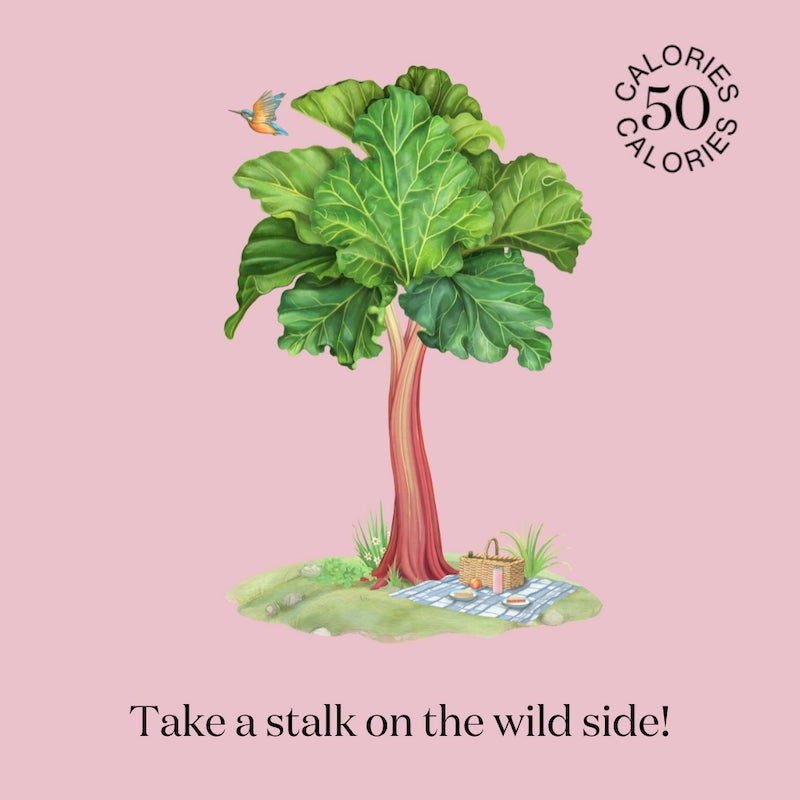 Artwork of nature where  Nuisance drinks take their inspiration to create a natural, low-calorie, low-sugar premium Rhubarb & Ginger botanical soft drink. 