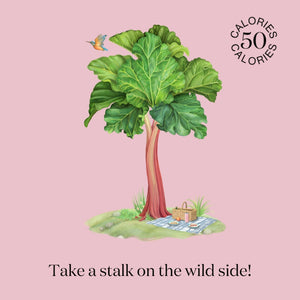 Artwork of nature where  Nuisance drinks take their inspiration to create a natural, low-calorie, low-sugar premium Rhubarb & Ginger botanical soft drink. 